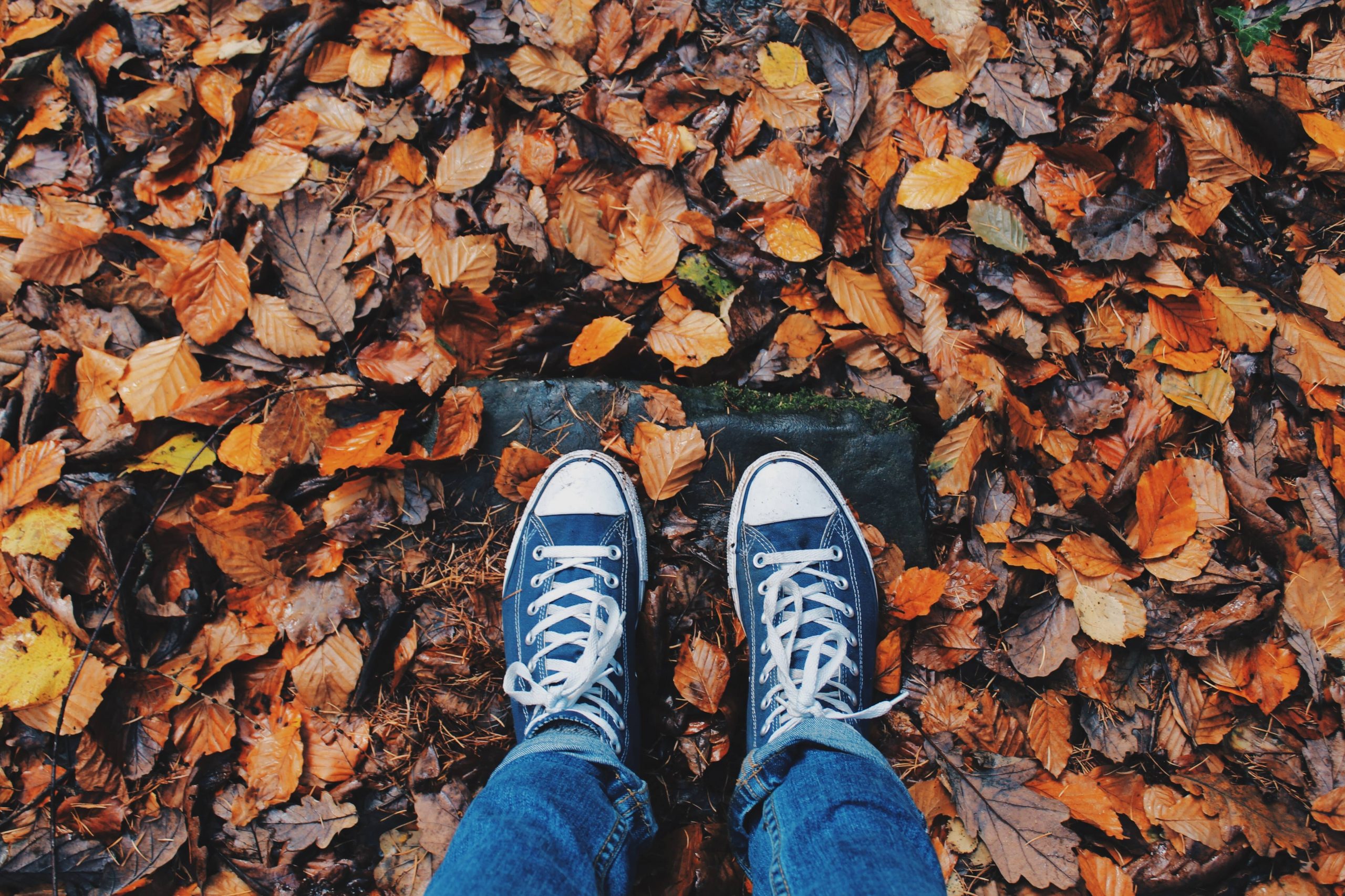 person in blue Converse standing on fall leaves