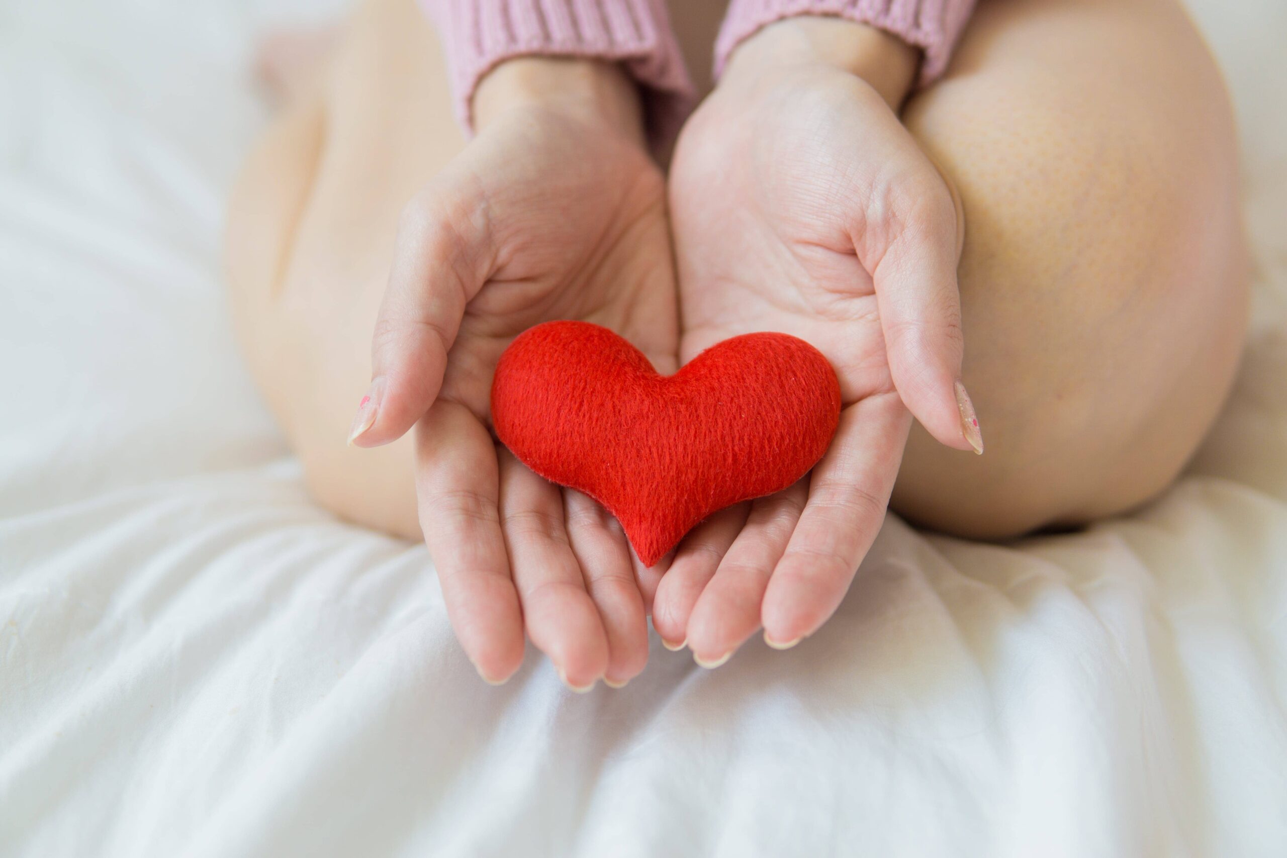 Person holding felt heart in open hands.